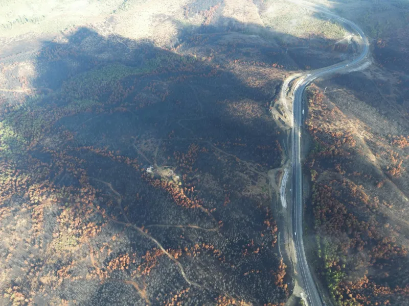 When Science Goes Up in Smoke: The Butterfly Hunter Who Torched New Jersey and Found Paradise