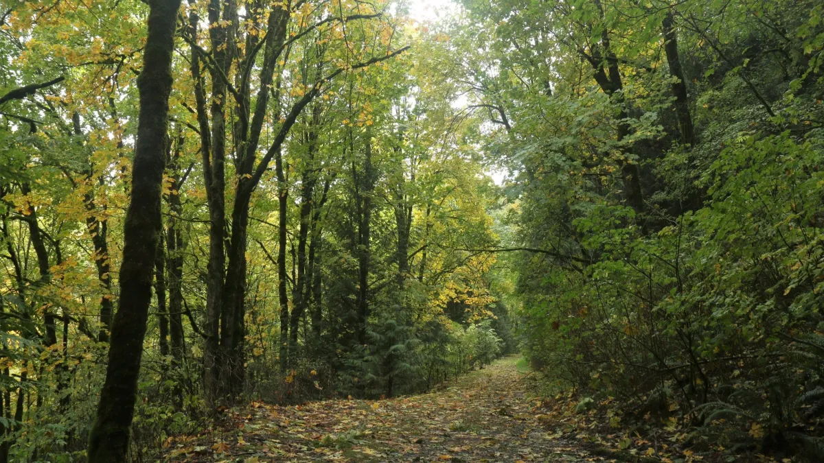 Cedar Springs, Minnesota