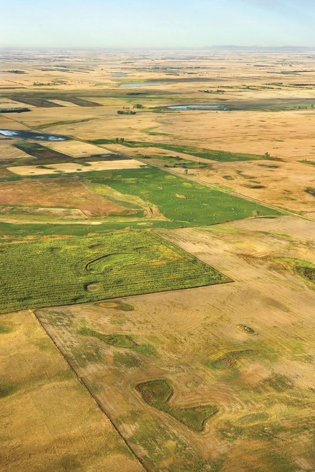 Great Plains