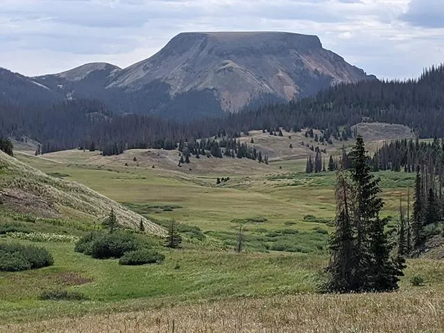 Rio Grande National Forest