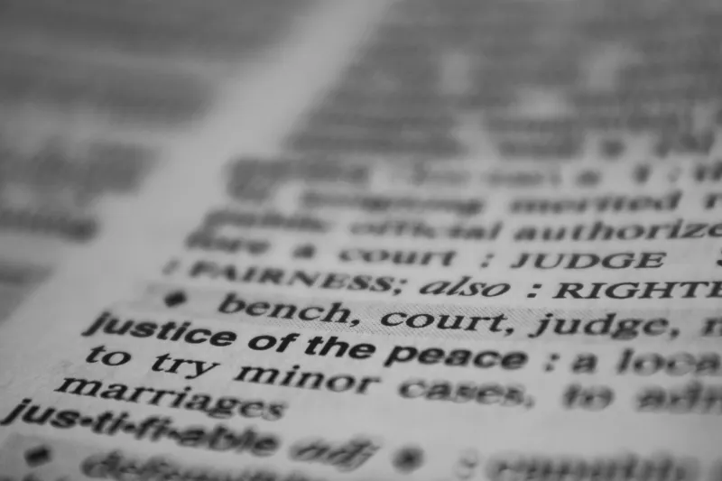 Word Thief: The Entrepreneur Who Stole the English Language and Made It Stick
